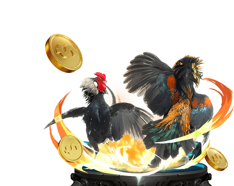 Khuyến mãi Đá Gà Live Sunwin